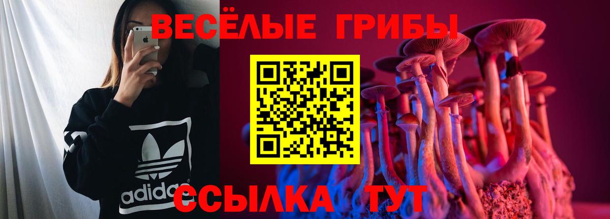 Галлюциногенные грибы Psilocybine cubensis  Галлюциногенные грибы MAGIC MUSHROOMS  Аксай  Вход с VPN 